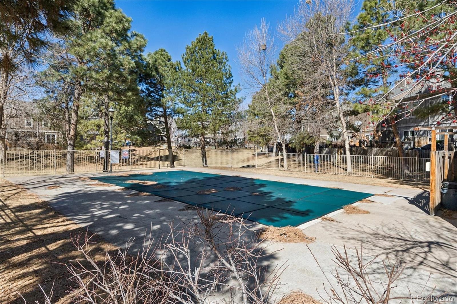 8139 South Fillmore Way Centennial, CO 80122 - Photo 27 of 29 a view of park space