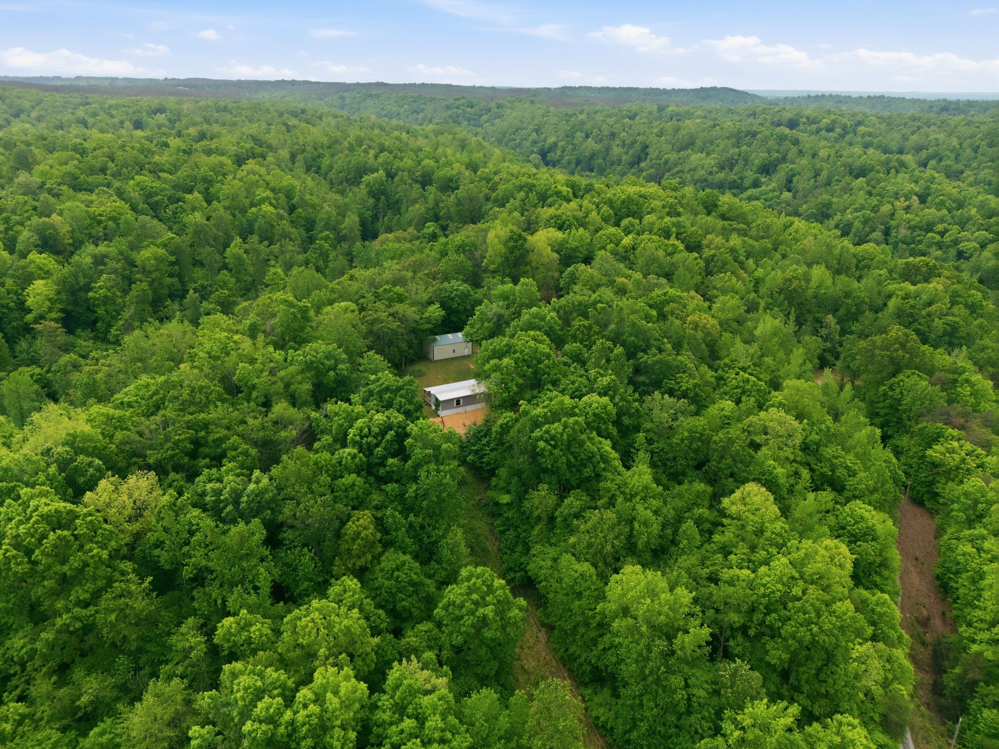 309 River Bluff Road Linden, TN 37096 - Photo 48 of 55
