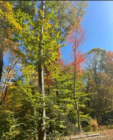 $85,000 | Brook Road, Hampton, CT 06247