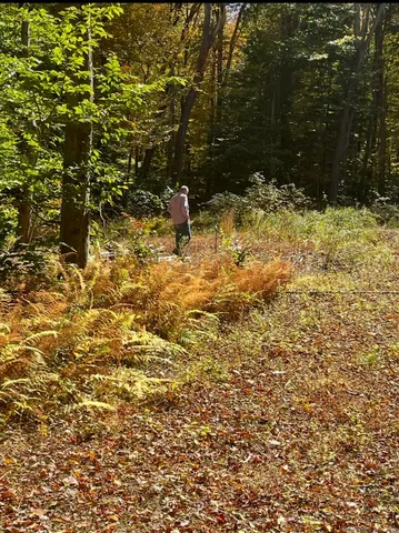 a view of yard covered with snow