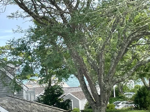 a front view of house with outdoor space swimming pool and seating