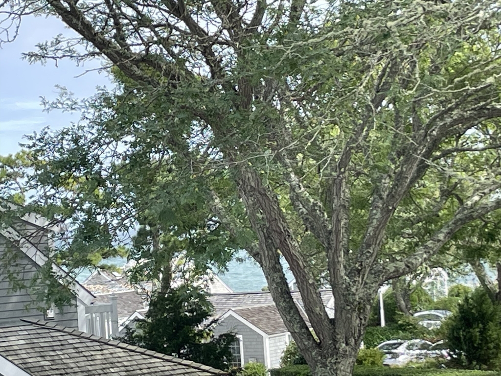 4 Colemans Way, Unit 702 Mashpee, MA 02649 - Photo 18 of 23 an outdoor space with lots of trees