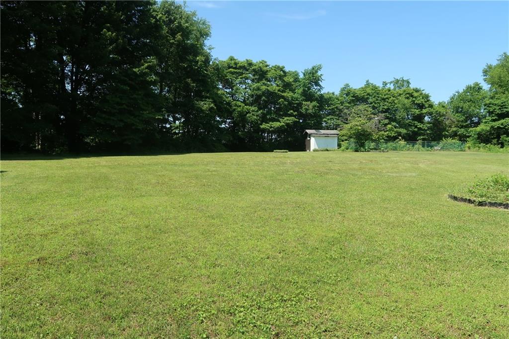 12859 Pine Hollow Road Trafford, PA 15085 - Photo 4 of 25 FABULOUS YARD surrounded with Mature Trees!