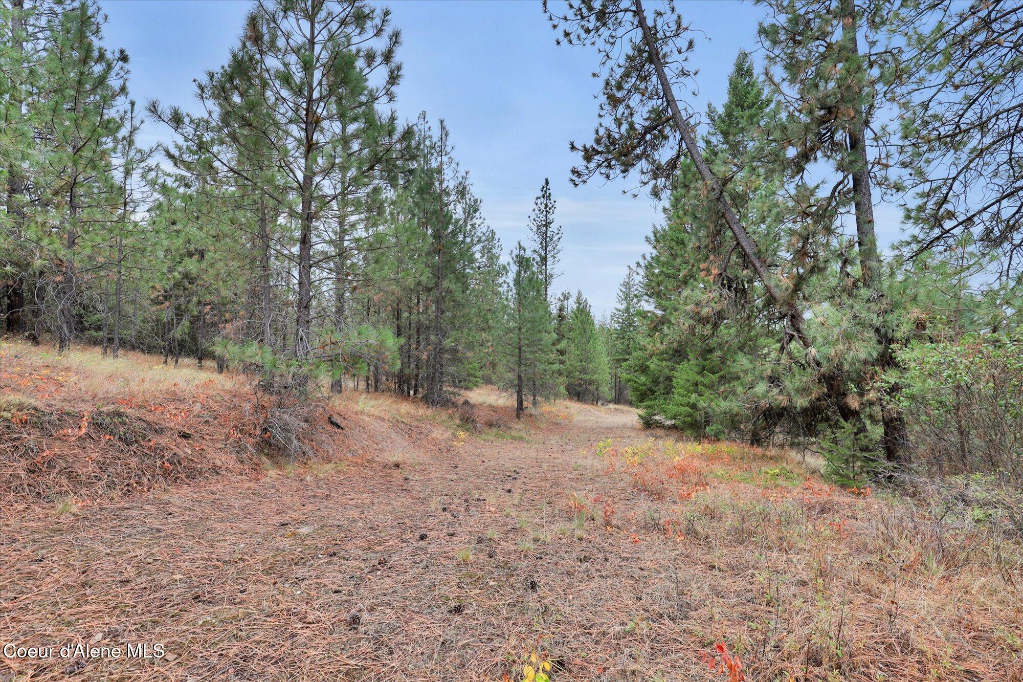 1571 Stone Road Blanchard, ID 83804 - Photo 4 of 22 04-1571 Stone Rd