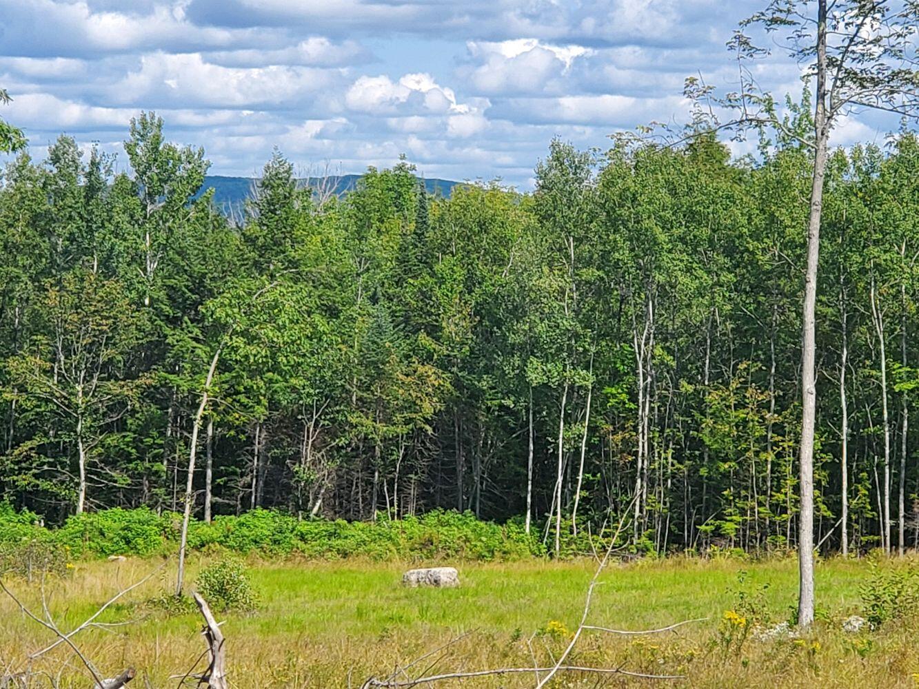 1929 Athens Road Hartland, ME 04943 - Photo 16 of 21 20230827_142152