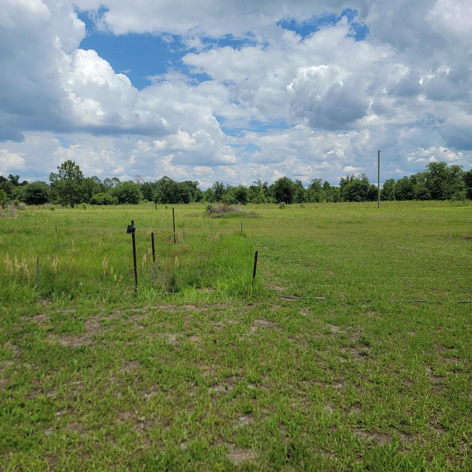 2009 Rutherford Road Lee, FL 32059 - Photo 5 of 21