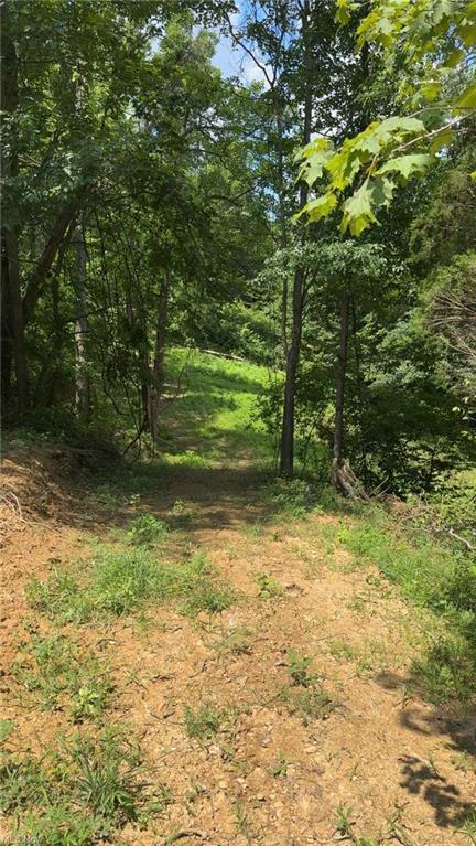 0 Point Lookout Road Stockport, OH 43787 - Photo 9 of 24 GetMedia (16)