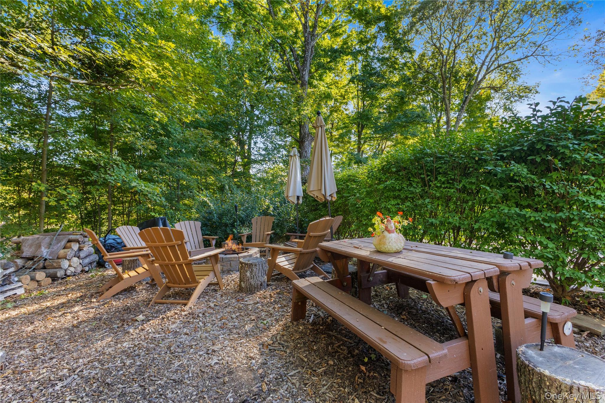 1645 Amazon Road, Unit 1645 Mohegan Lake, NY 10547 - Photo 34 of 50 a view of backyard with outdoor seating and trees