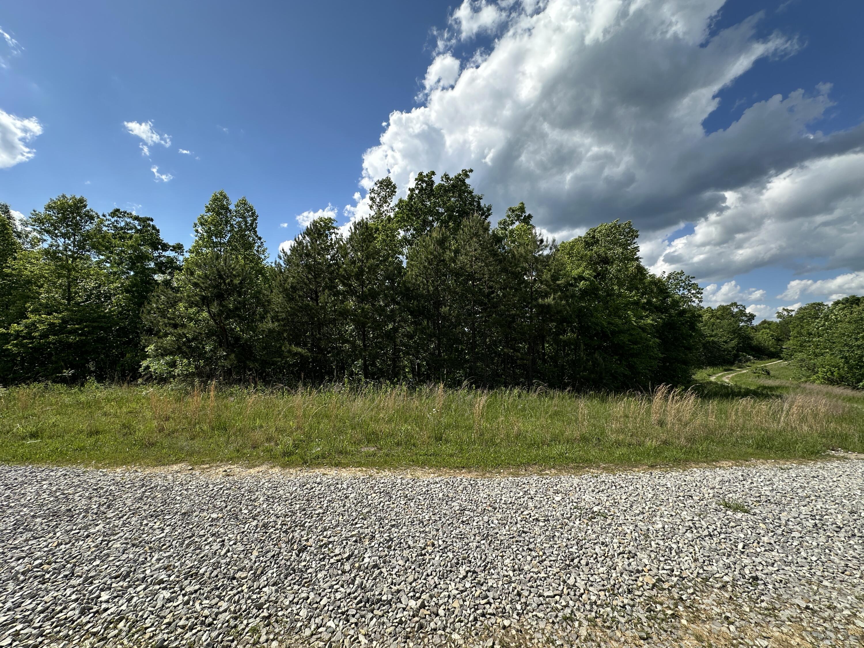 14 Williams Creek Road Denton, KY 41132 - Photo 6 of 29 5