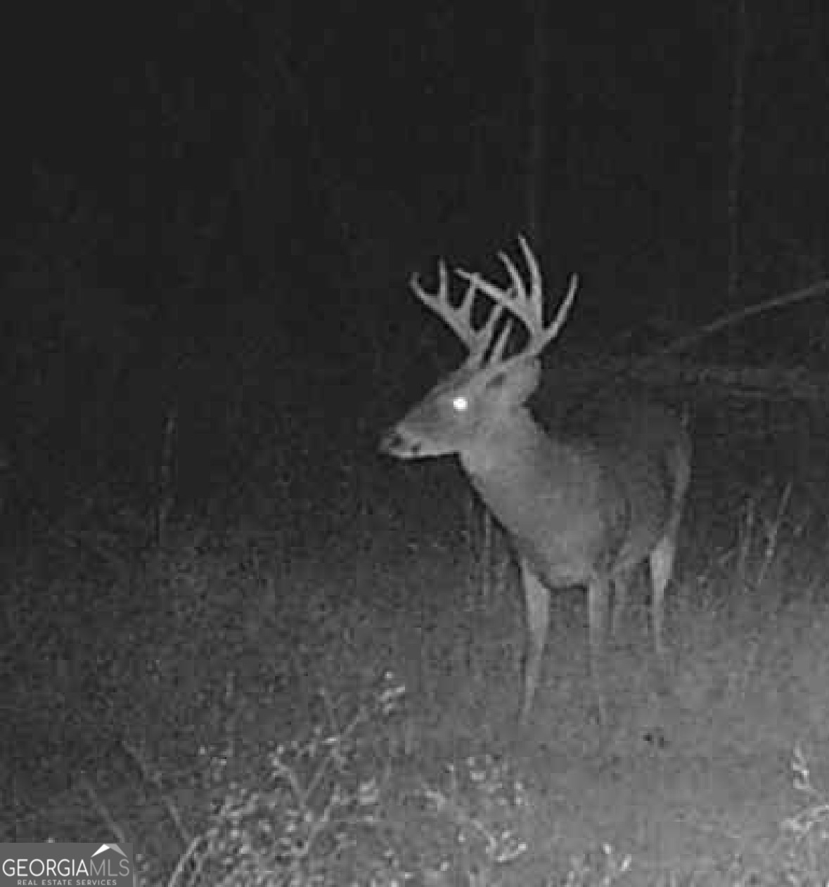 596 Arnett School Road Sylvania, GA 30467 - Photo 21 of 35