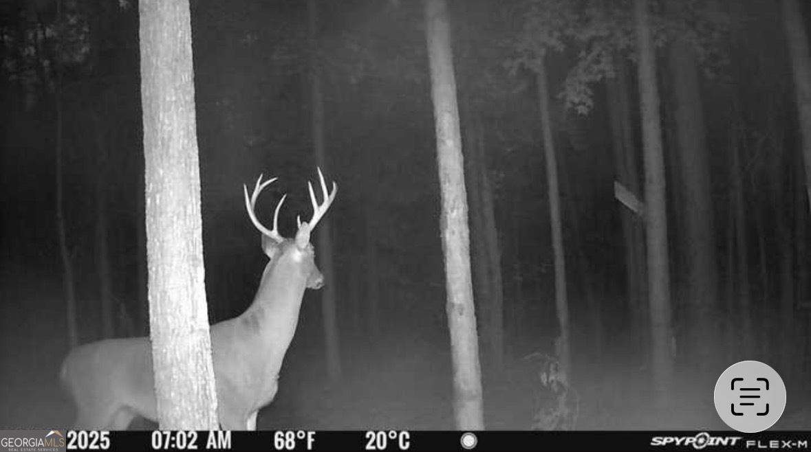 596 Arnett School Road Sylvania, GA 30467 - Photo 25 of 35