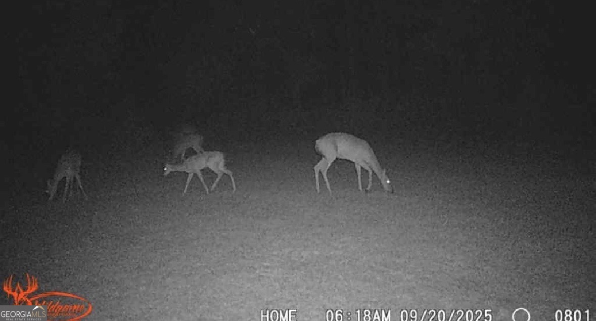 596 Arnett School Road Sylvania, GA 30467 - Photo 29 of 35