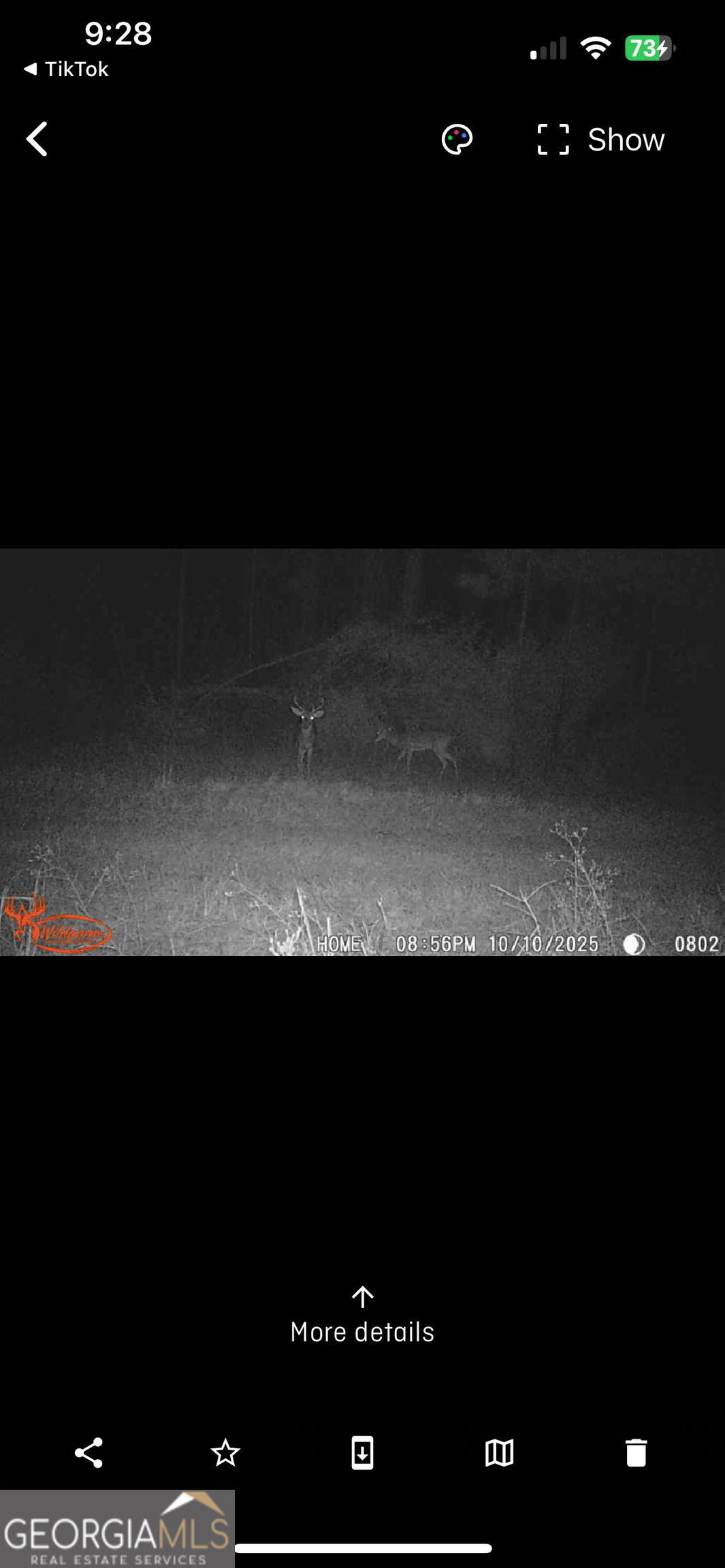 596 Arnett School Road Sylvania, GA 30467 - Photo 31 of 35