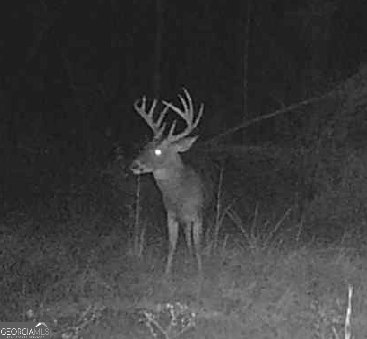 596 Arnett School Road Sylvania, GA 30467 - Photo 32 of 35