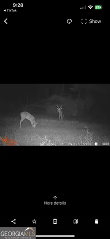 $129,000 | 596 Arnett School Road, Sylvania, GA 30467