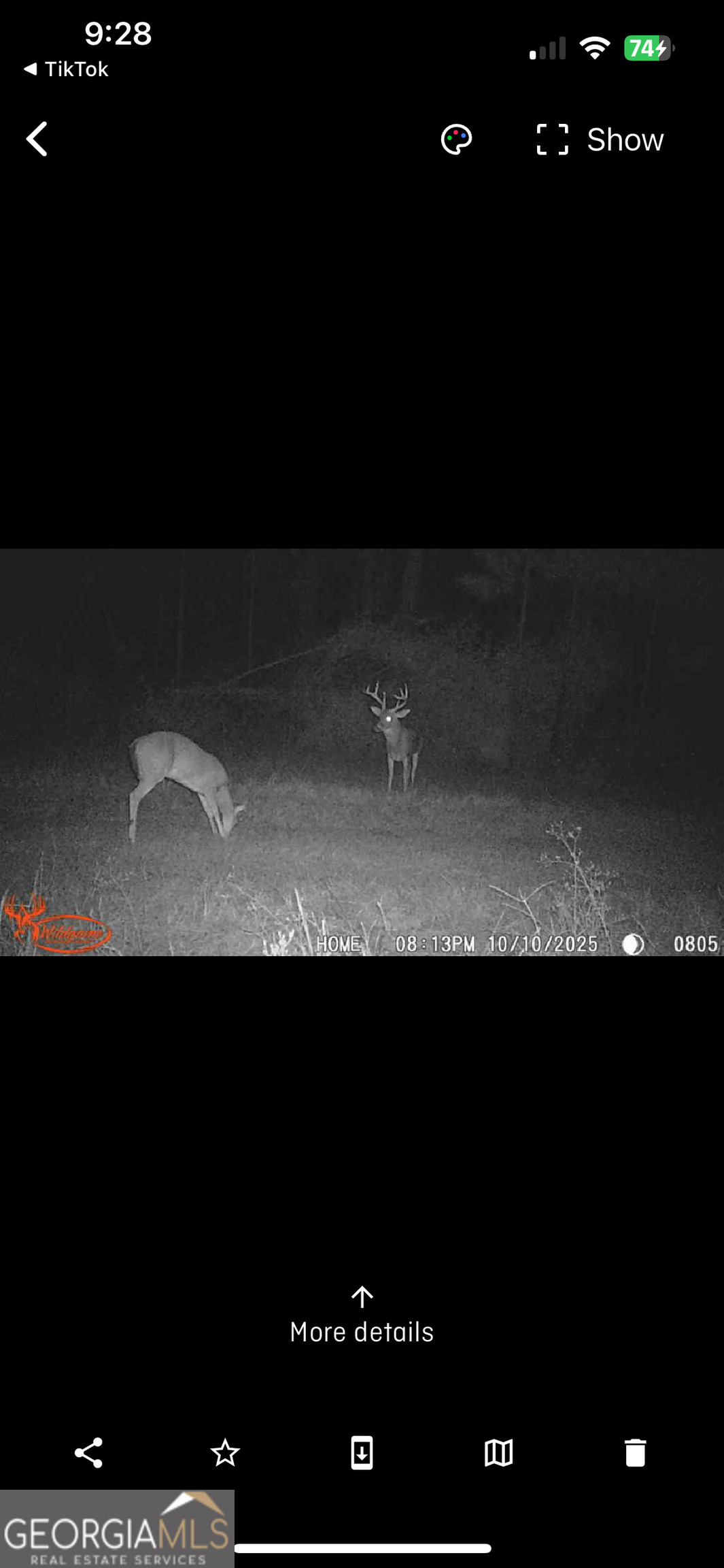 596 Arnett School Road Sylvania, GA 30467 - Photo 34 of 35