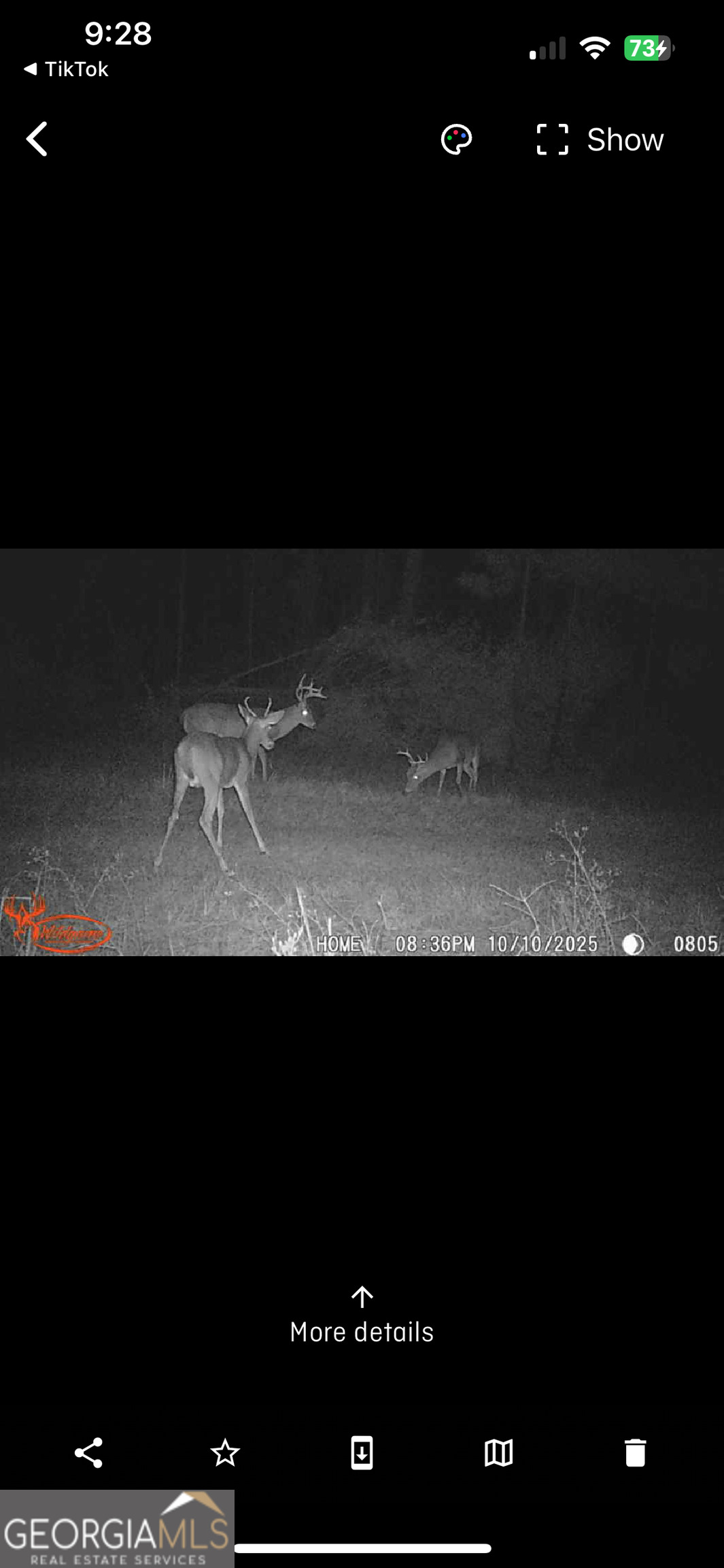 596 Arnett School Road Sylvania, GA 30467 - Photo 35 of 35