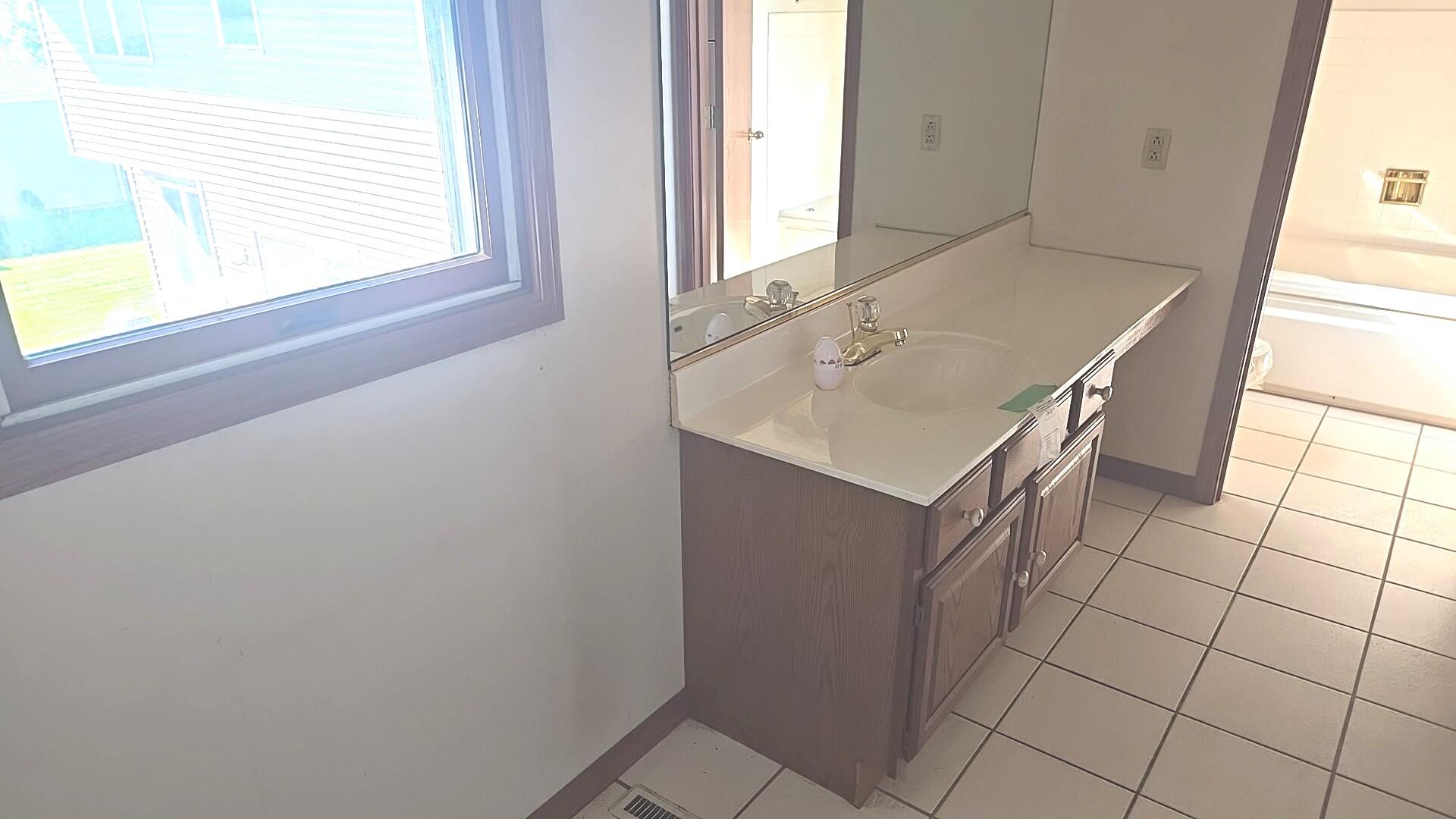 1951 West Ash Street Griffith, IN 46319 - Photo 17 of 23 a bathroom with a sink a vanity and a window