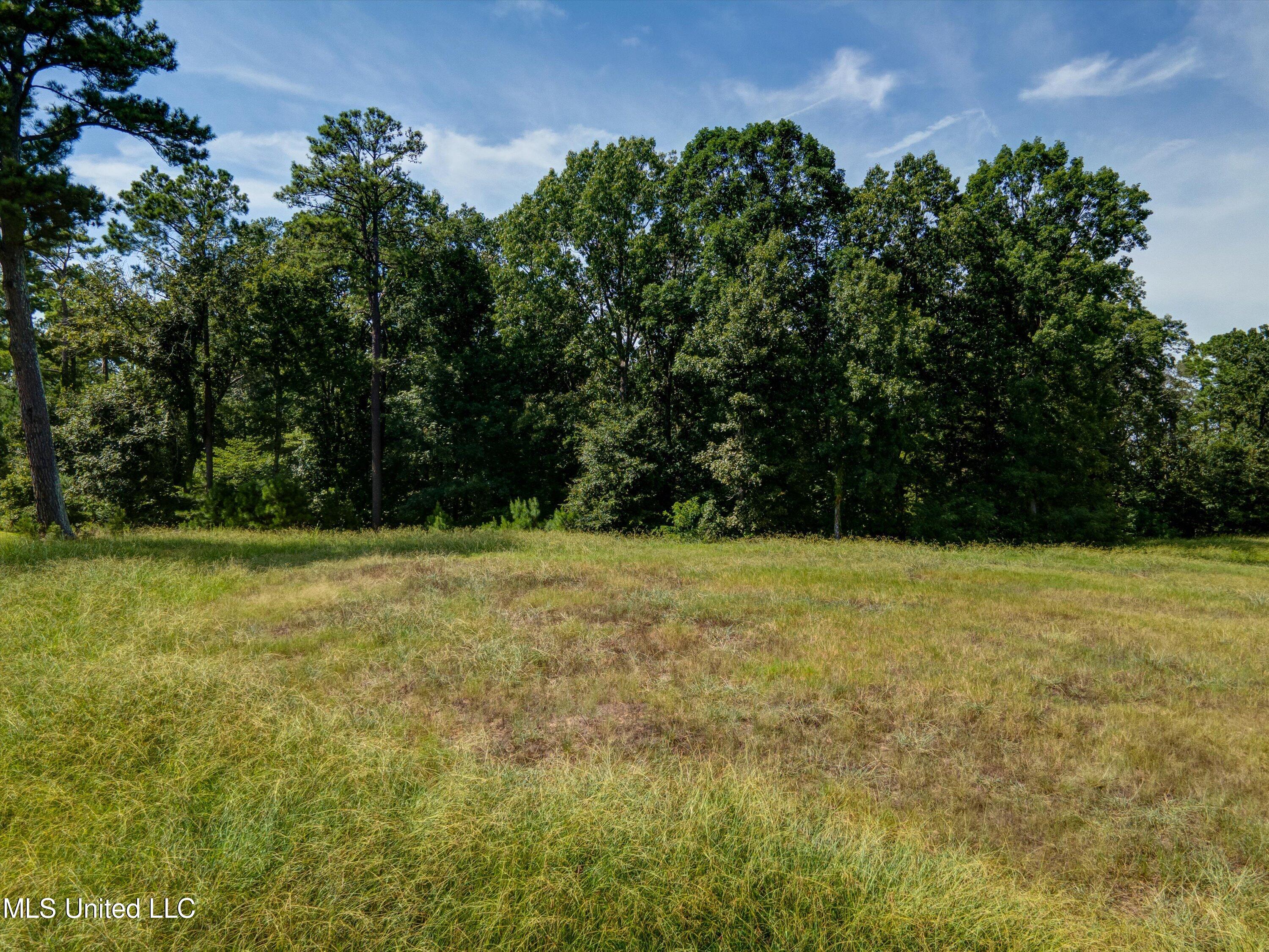 5721 Ginners Lane Hernando, MS 38632 - Photo 11 of 19 11-Ground-1