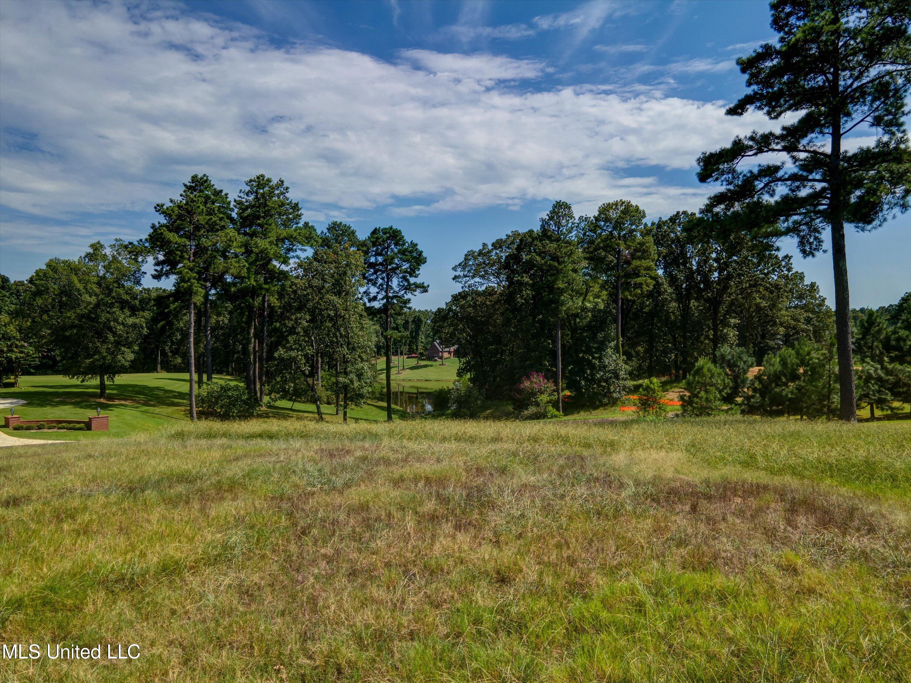 5721 Ginners Lane Hernando, MS 38632 - Photo 12 of 19 12-Ground-2
