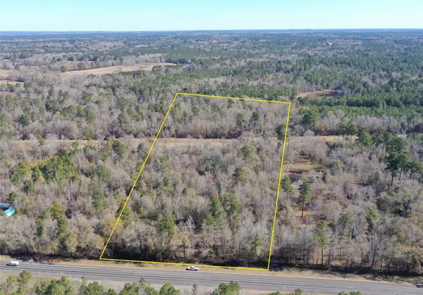 a view of a dry yard