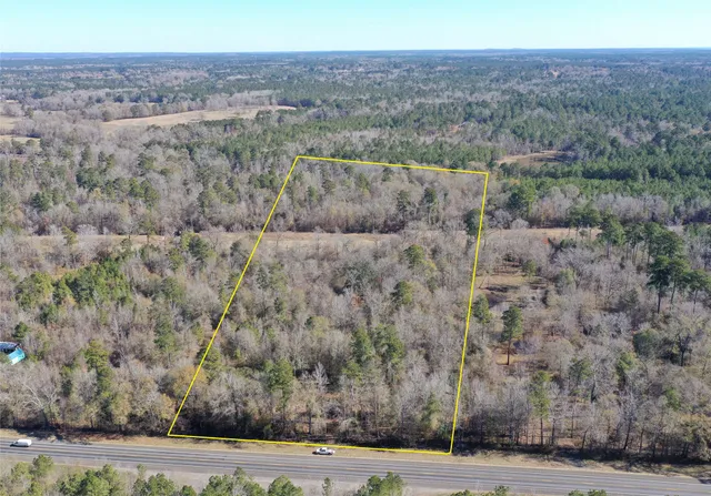 a view of a dry yard