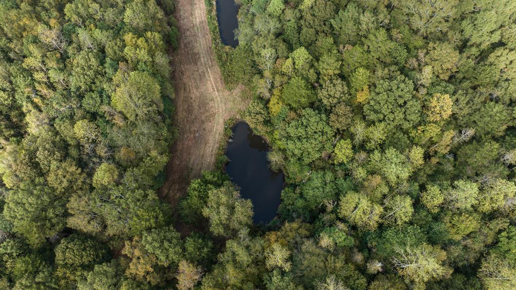 0 Co Road Rockford, AL 35136 - Photo 2 of 11