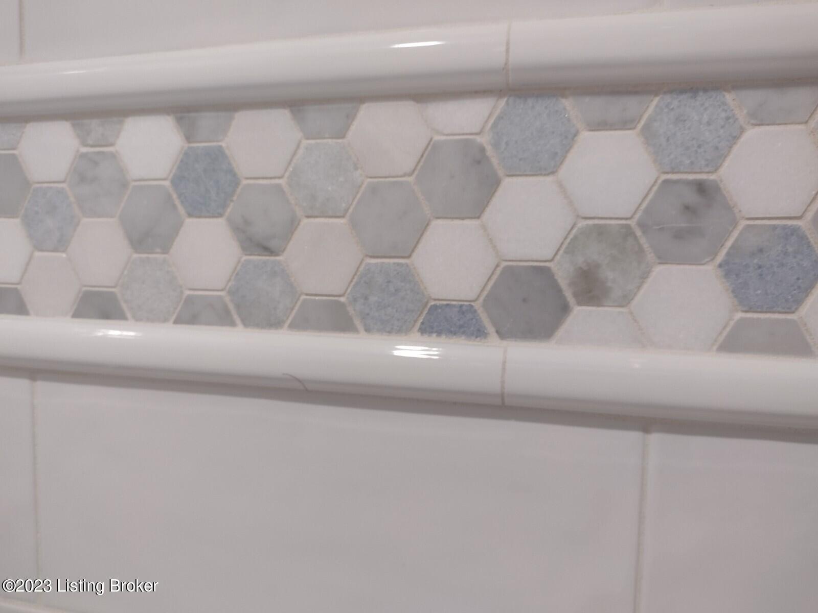 225 Maple Valley Road Louisville, KY 40245 - Photo 43 of 69 tile detail in lower level shower