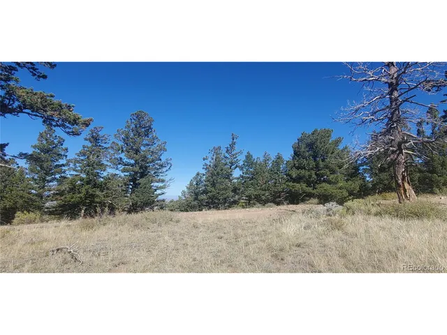 a view of a mountain in the distance
