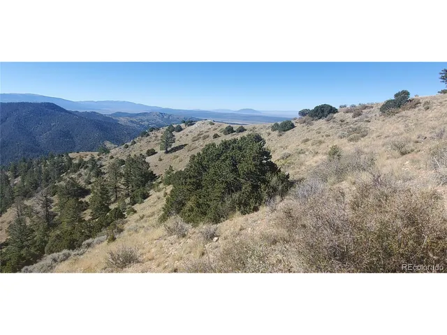 a view of a dry yard