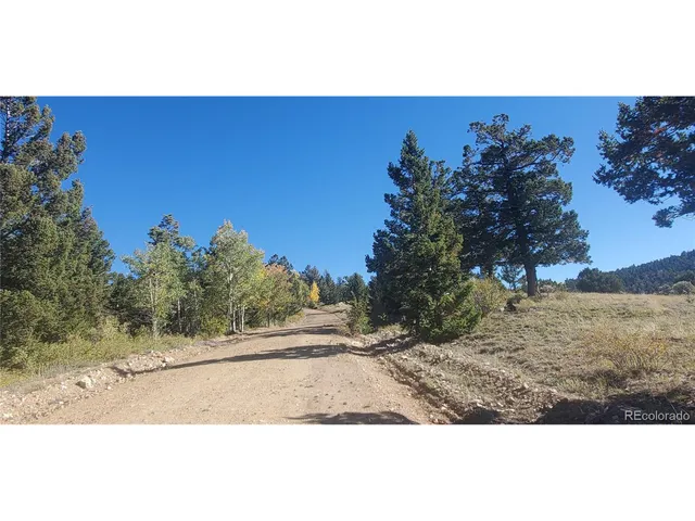 a view of a dry yard