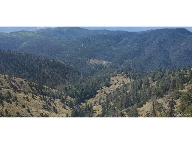 a view of a dry yard