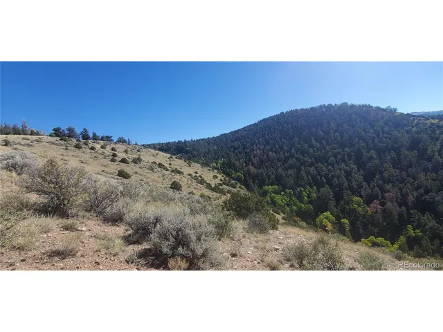 a view of a dry yard with trees