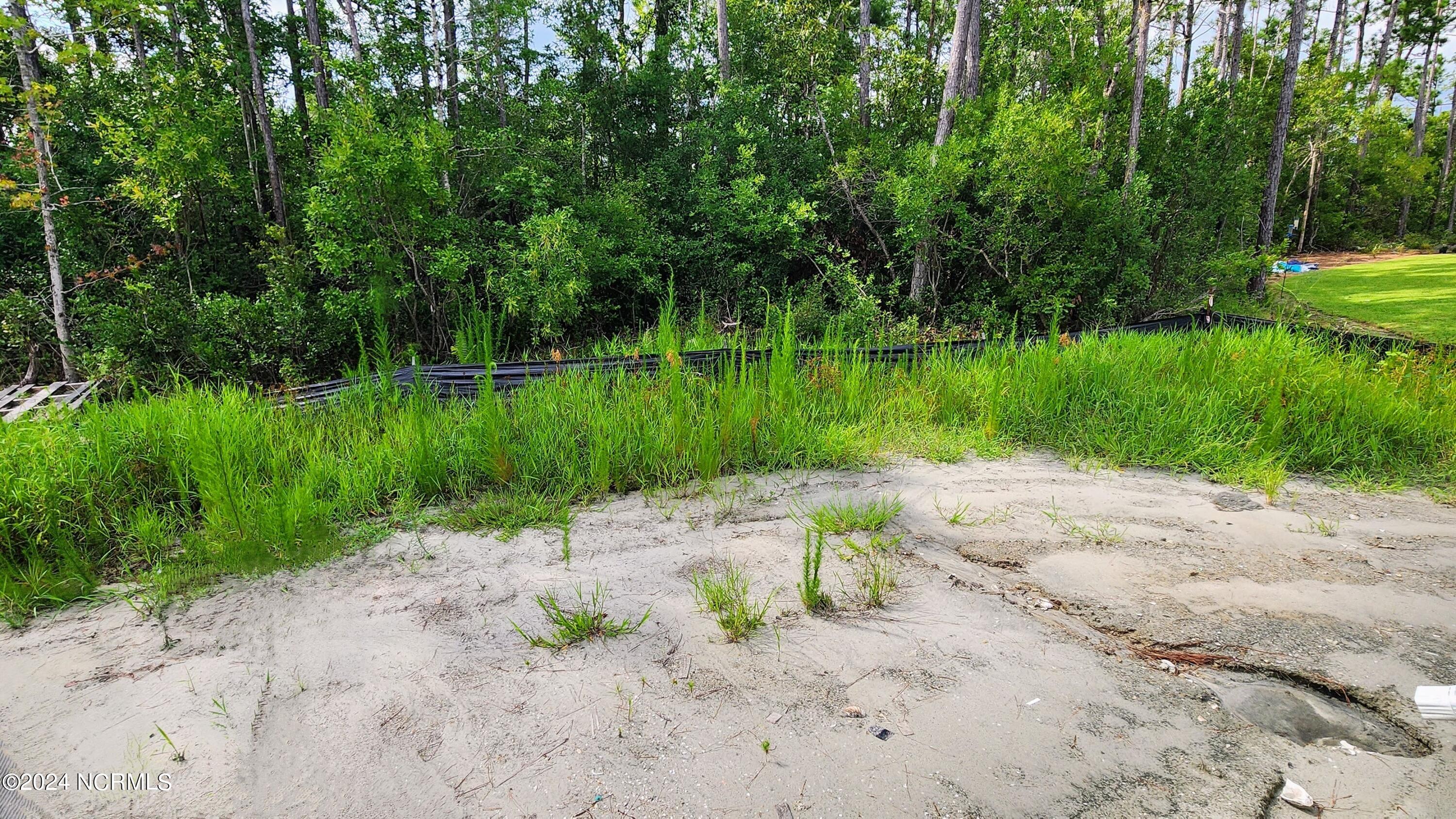 198 Priscilla Place Hampstead, NC 28443 - Photo 56 of 57 Updated Build Photo 7/31/24