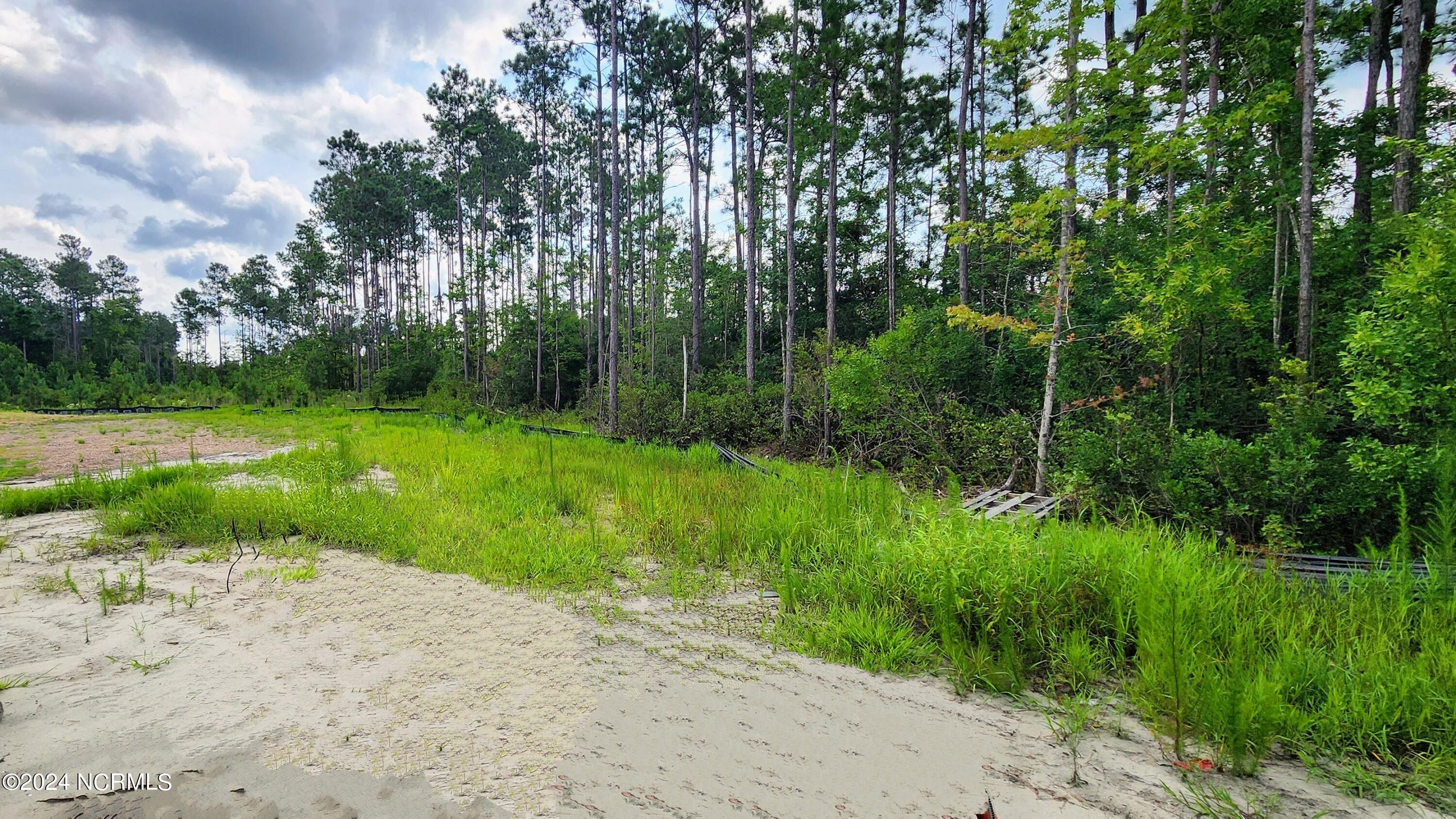 198 Priscilla Place Hampstead, NC 28443 - Photo 57 of 57 Updated Pic 198 Priscilla Pl