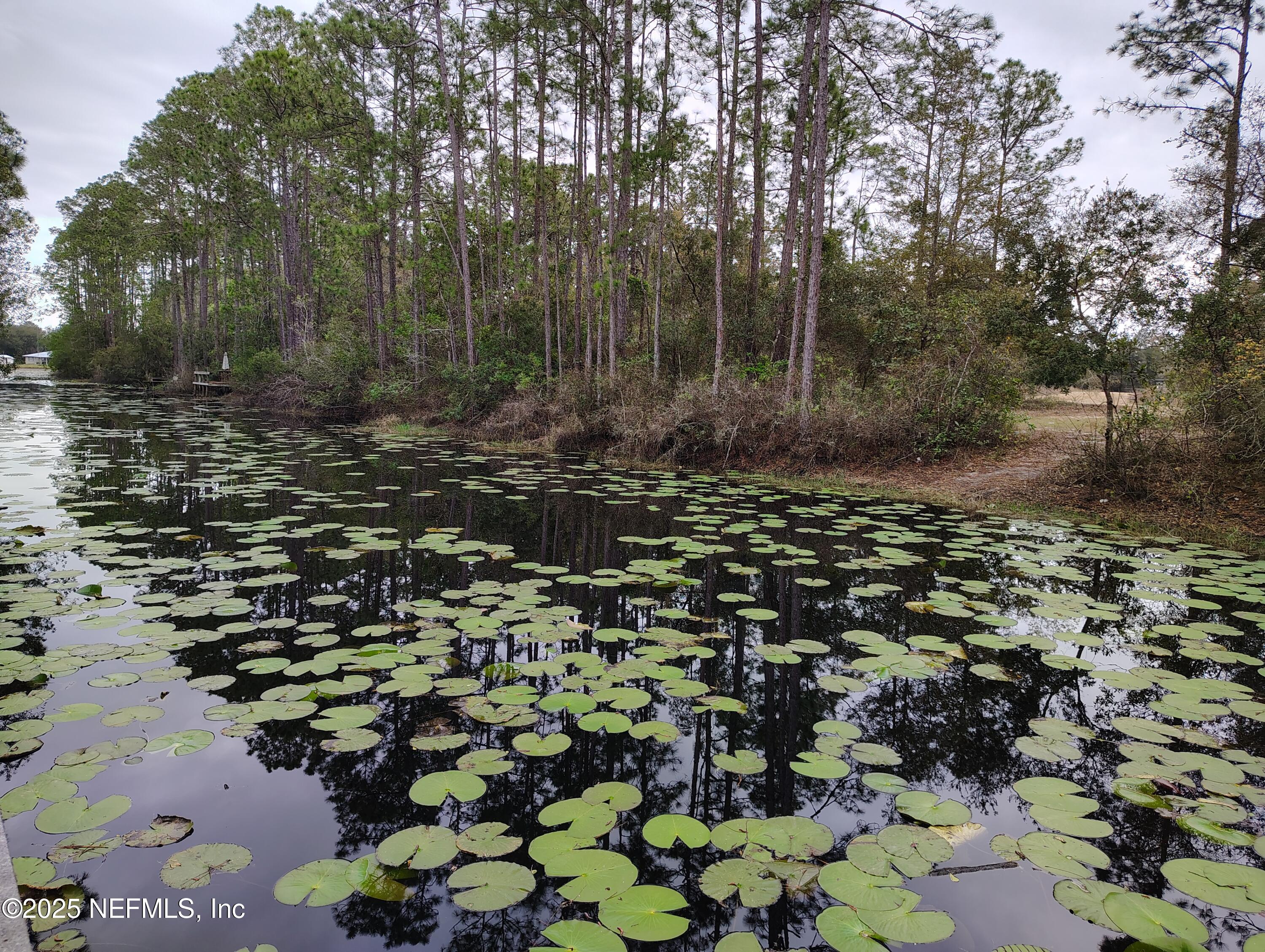 107 Peebles Road Interlachen, FL 32148 - Photo 41 of 41 IMG_20250308_104328294_HDR