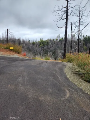 a view of dirt yard with large trees