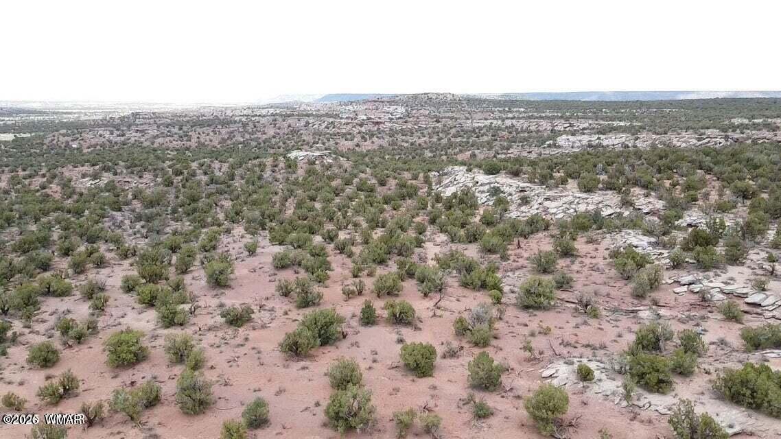 9133 Ridge View Lane Snowflake, AZ 85937 - Photo 3 of 10 a view of a city