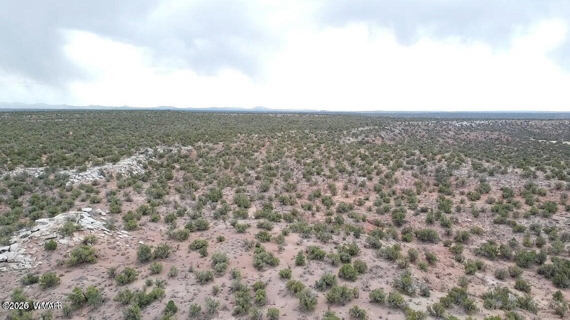 9133 Ridge View Lane Snowflake, AZ 85937 - Photo 4 of 10 an aerial view of multiple house