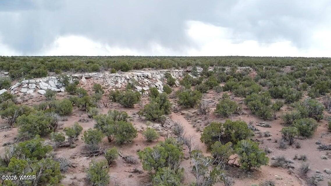 9133 Ridge View Lane Snowflake, AZ 85937 - Photo 5 of 10 an aerial view of mountain with yard