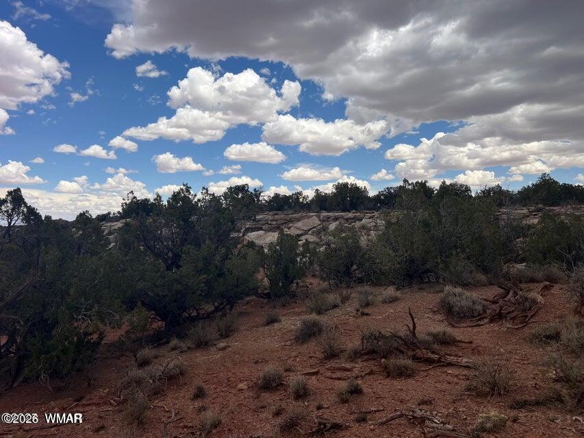 9133 Ridge View Lane Snowflake, AZ 85937 - Photo 7 of 10 a view of a bunch of trees in background