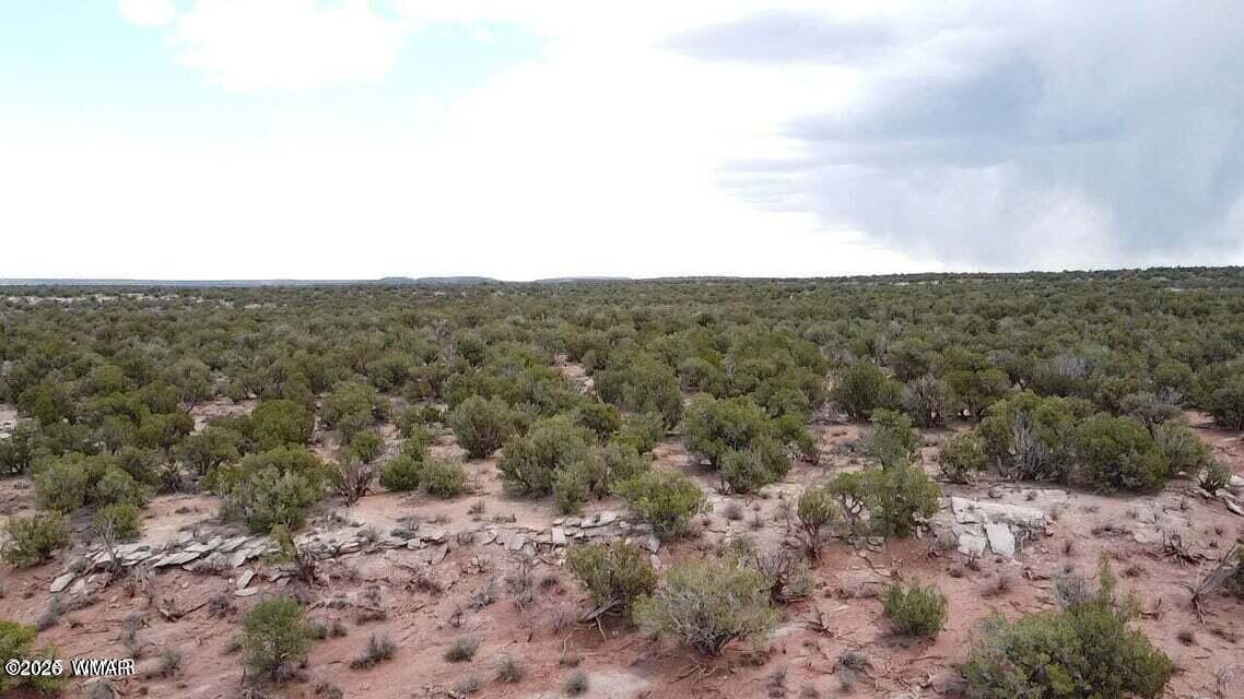 9133 Ridge View Lane Snowflake, AZ 85937 - Photo 10 of 10 an aerial view of houses covered in trees