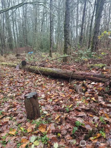 a view of a backyard of the house