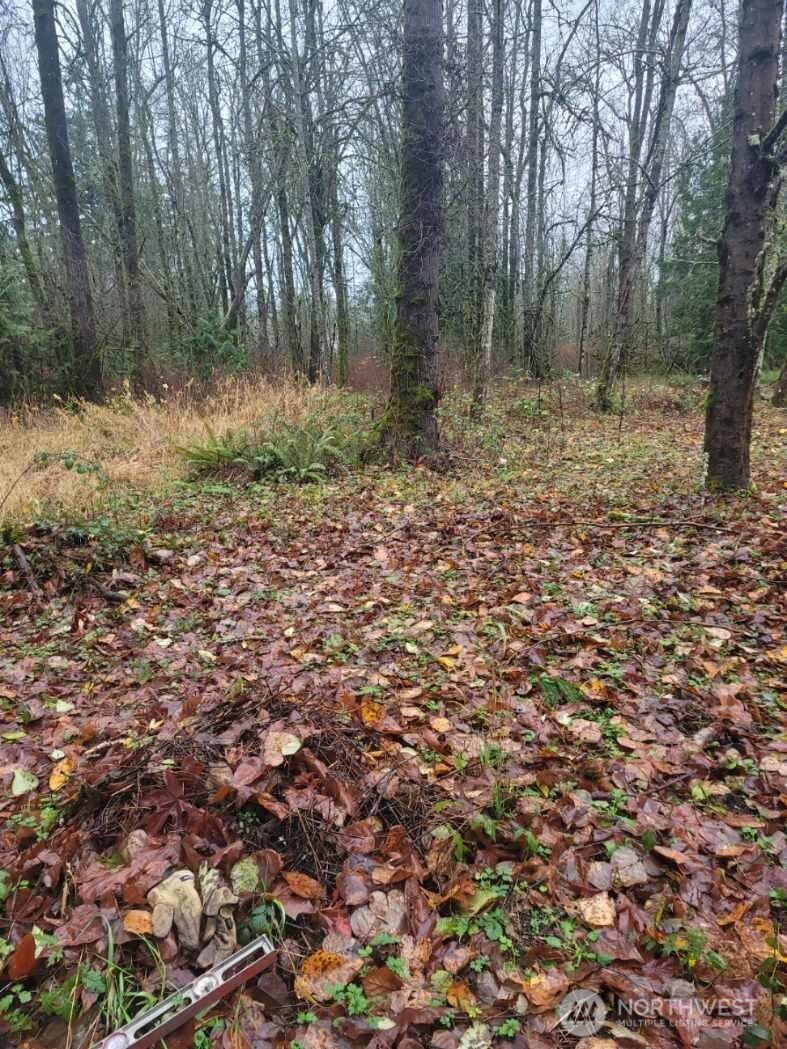 35750 Military Road South Auburn, WA 98001 - Photo 10 of 10 a big yard with lots of green space