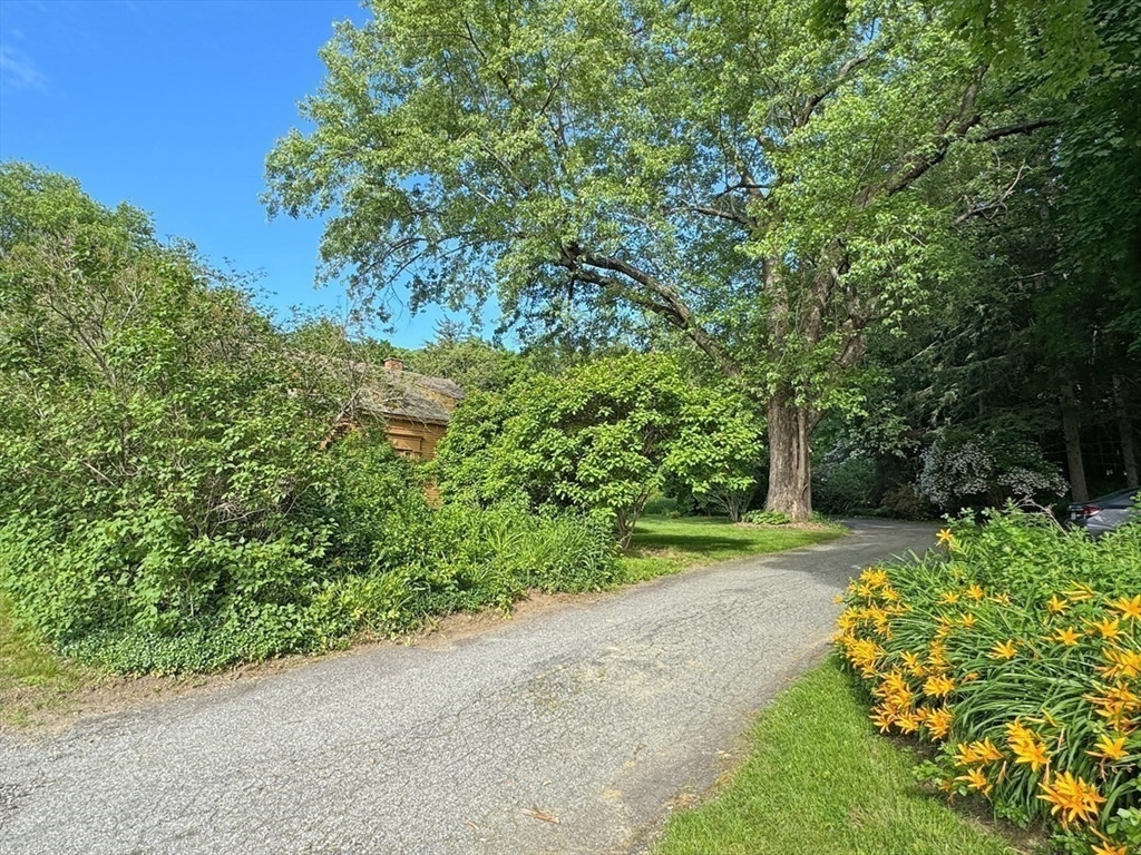 89 Wanamaker Road Northfield, MA 01360 - Photo 2 of 42 a view of a yard with plants and trees