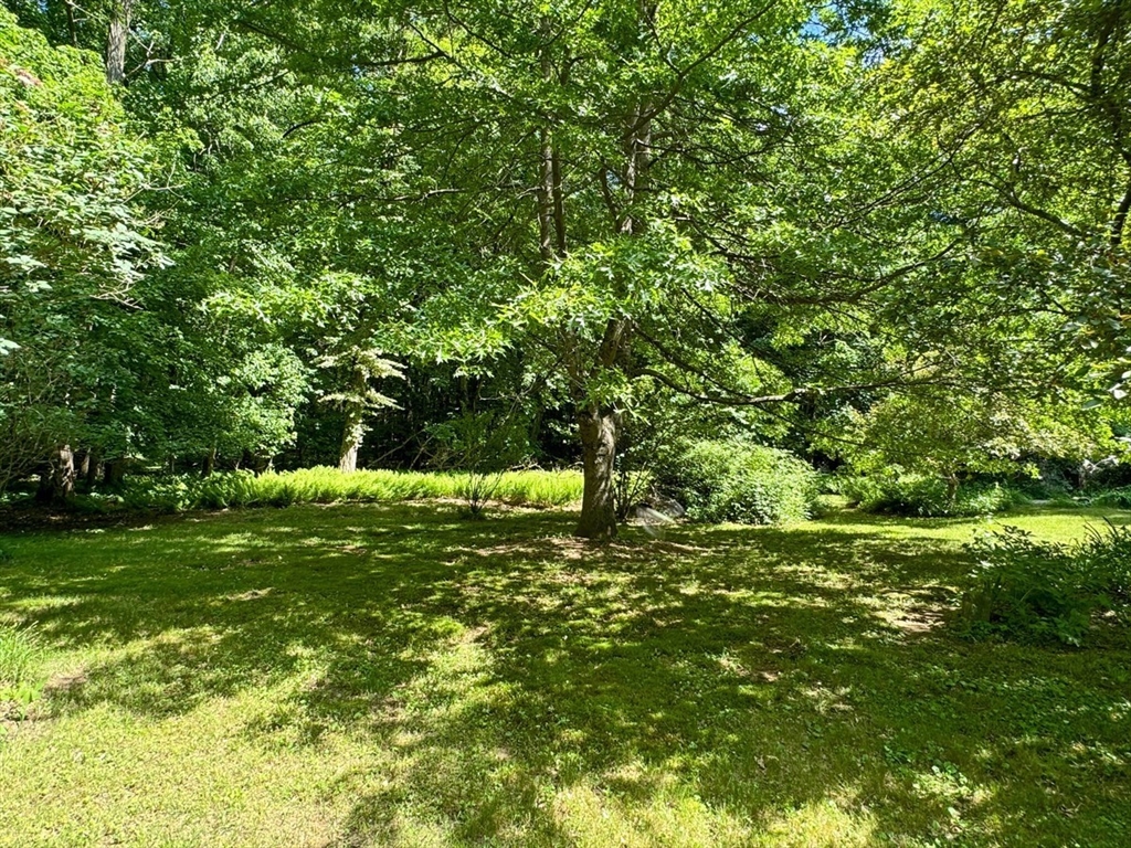 89 Wanamaker Road Northfield, MA 01360 - Photo 39 of 42 a fire hydrant in the middle of a field