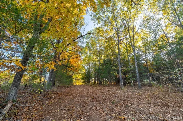 $128,950 | 3-15 Ac Pardon Road, Marionville, MO 65705