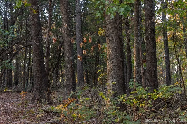 $128,950 | 3-15 Ac Pardon Road, Marionville, MO 65705