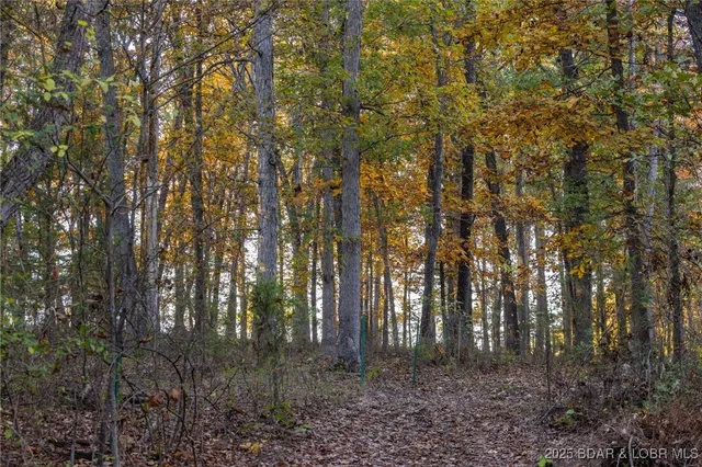 $128,950 | 3-15 Ac Pardon Road, Marionville, MO 65705