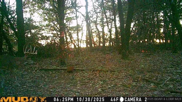 $128,950 | 3-15 Ac Pardon Road, Marionville, MO 65705